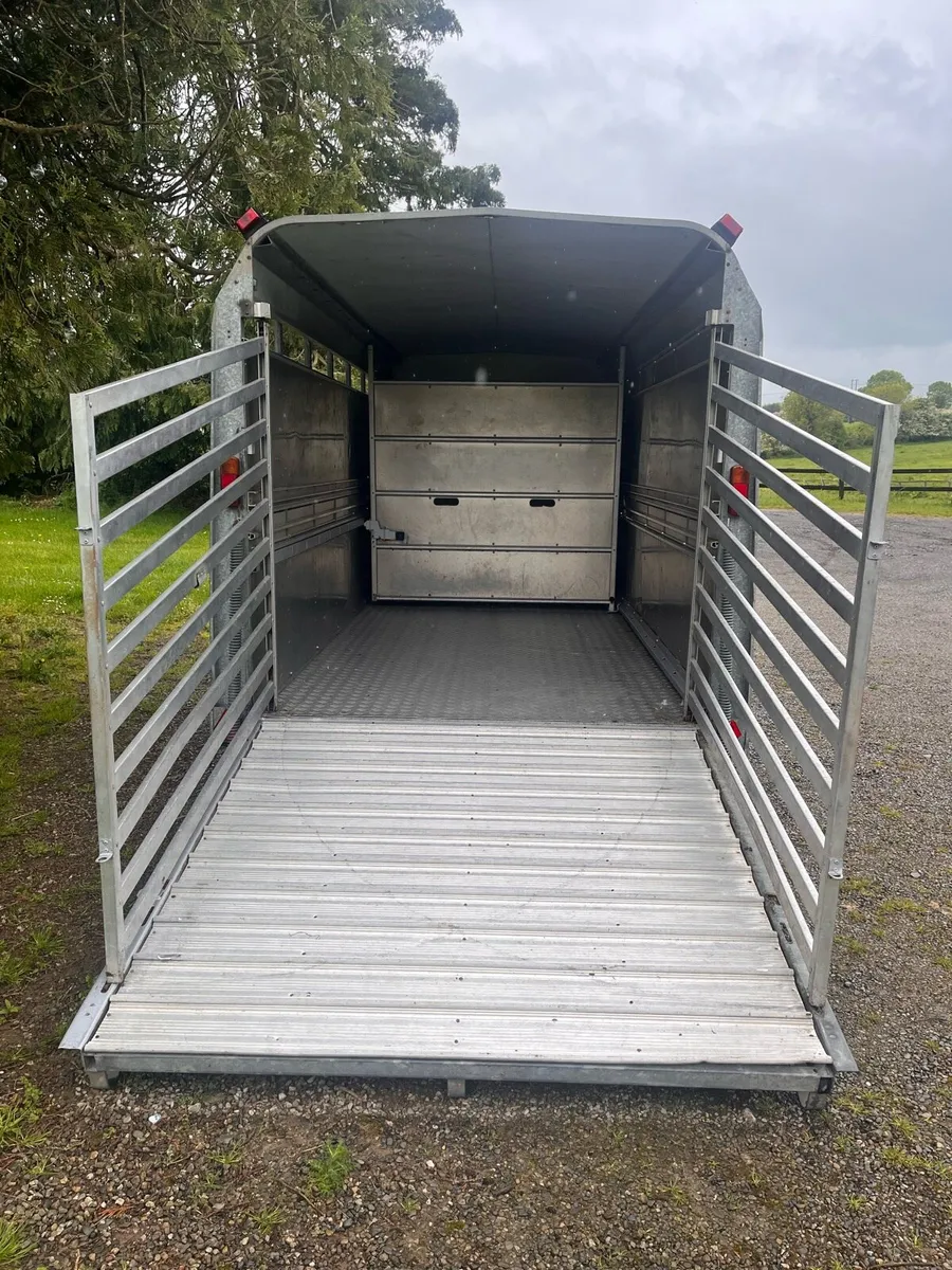 Ifor Williams TriAxel Cattlebox - Image 3