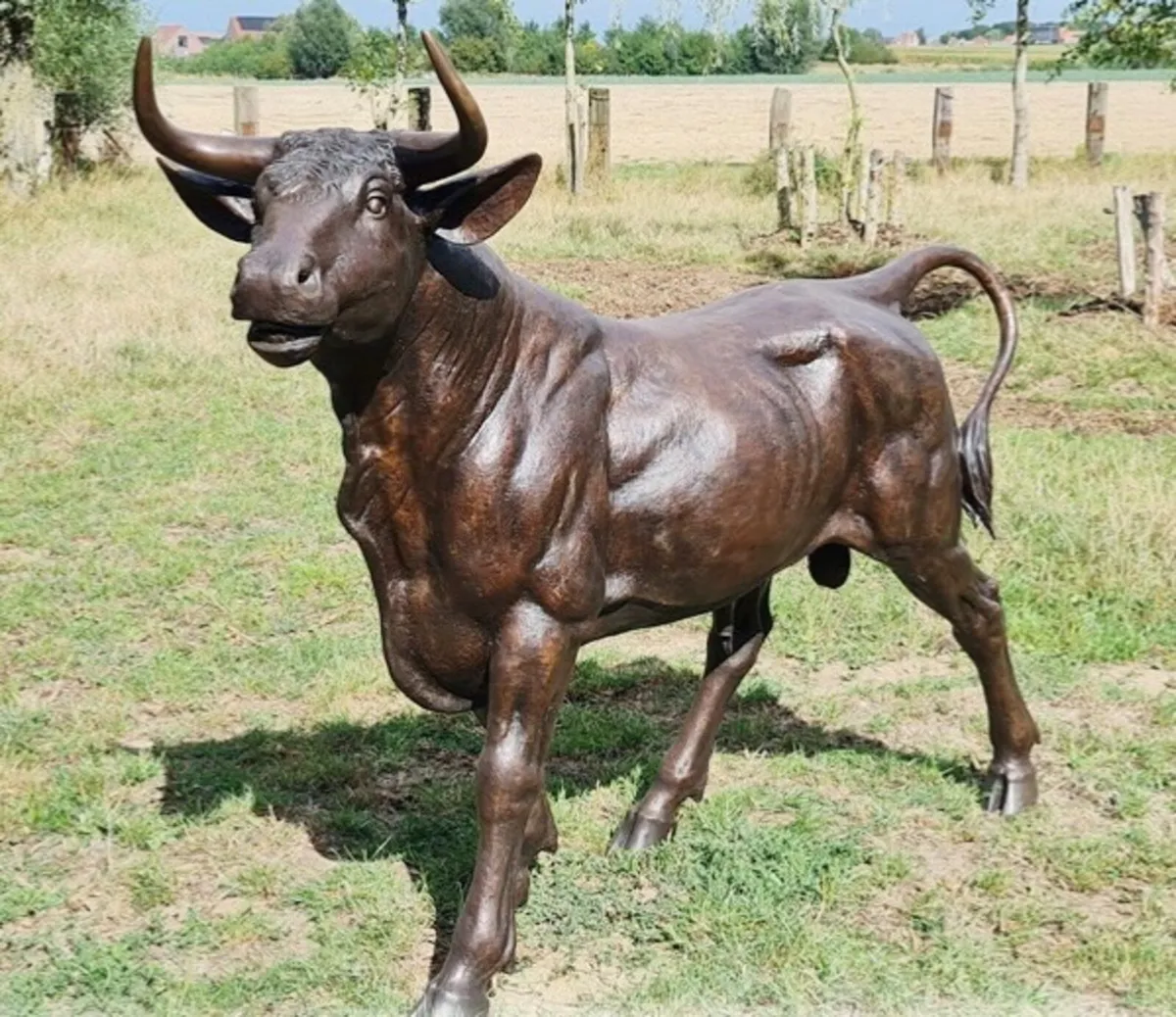 Life size Bronze bull statue - Image 4