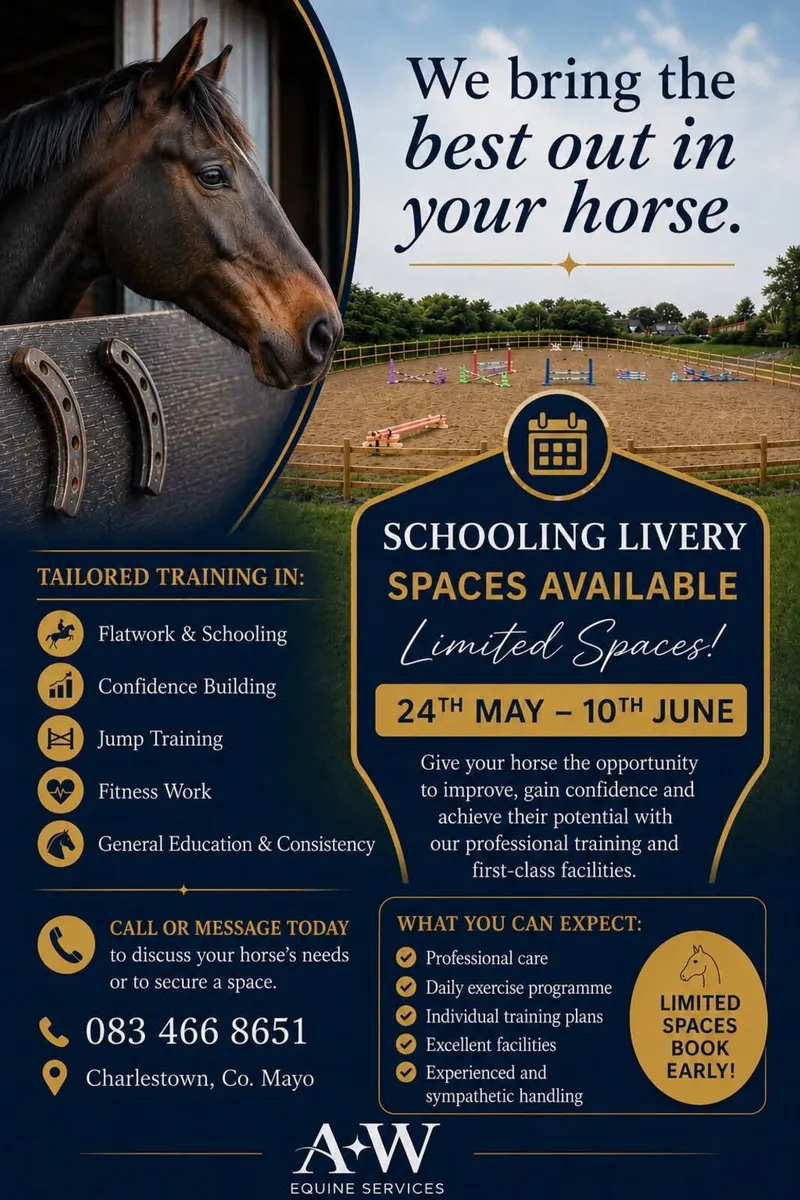 🍀 SCHOOLING LIVERY 🍀 - Image 1