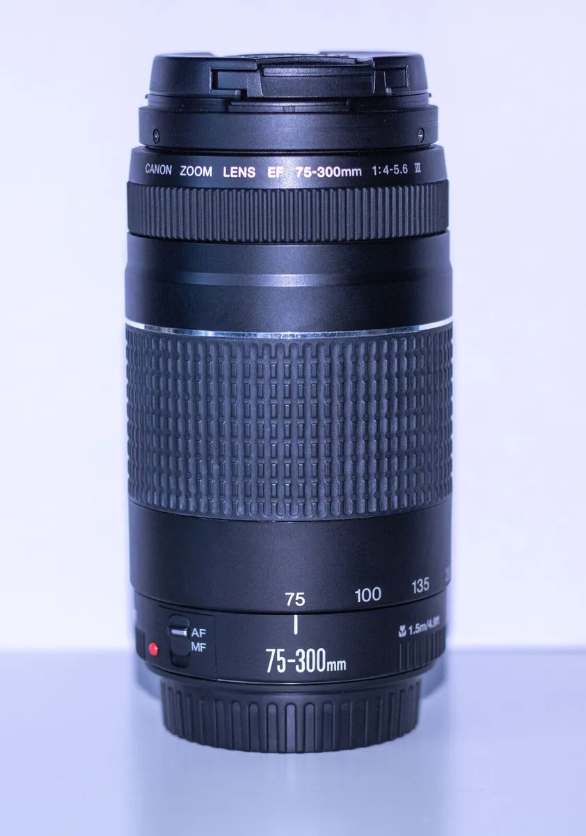 Canon EF 75-300mm f/4-5.6 III Telephoto Zoom Lens - Image 2