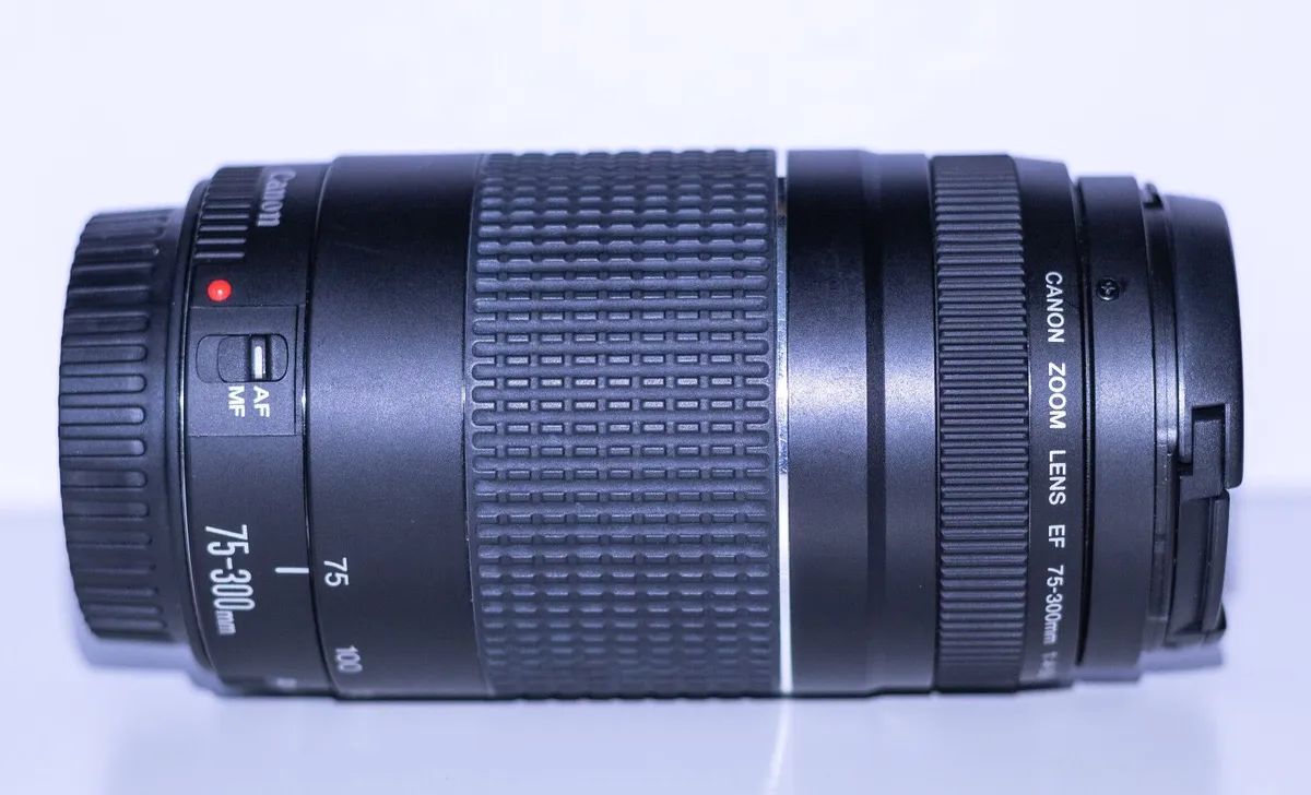 Canon EF 75-300mm f/4-5.6 III Telephoto Zoom Lens - Image 3