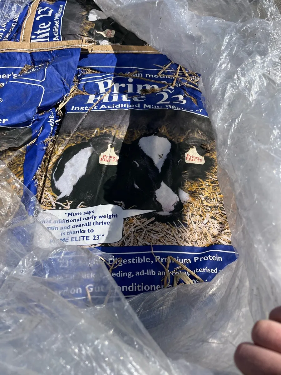 Milk replacer - Image 1