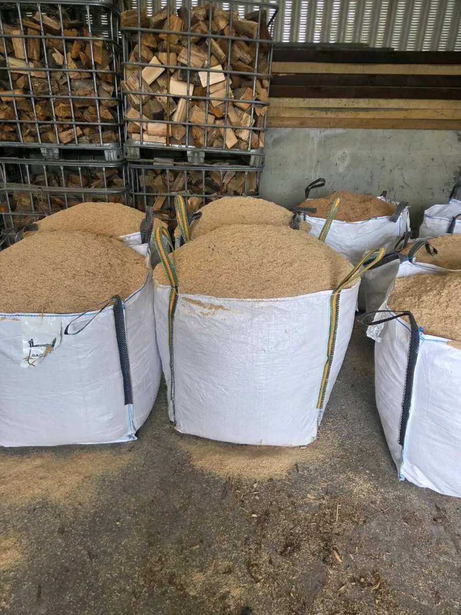 Sawdust - Image 1