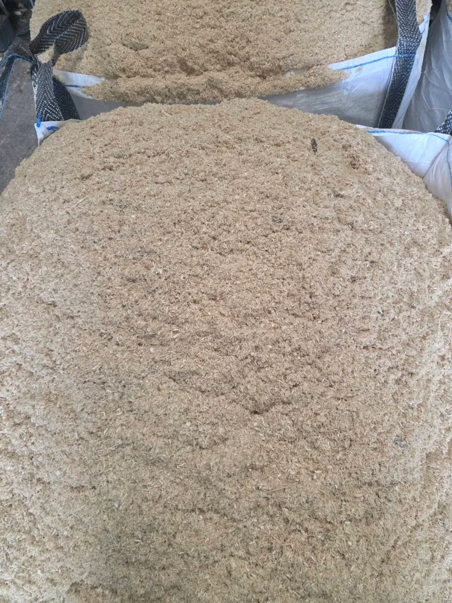 Sawdust - Image 2