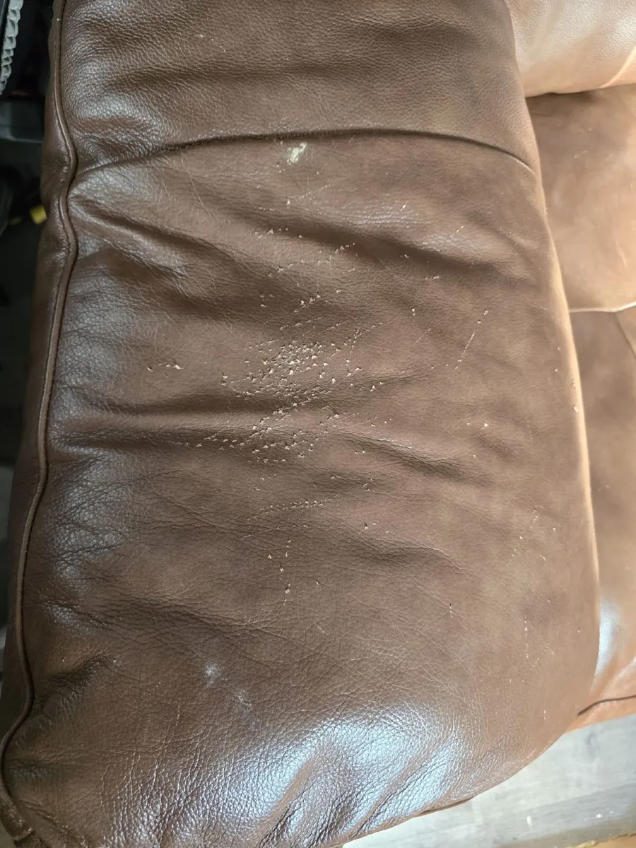 Caseys Snuggler Leather Couch (2 Seater) - Image 3