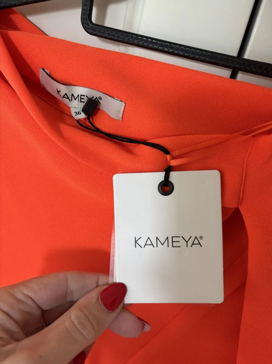 Kameya Dress - Image 4