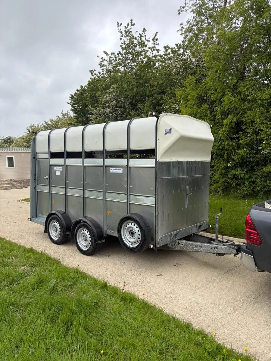 12ft highroof horse/cattle trailer - Image 1
