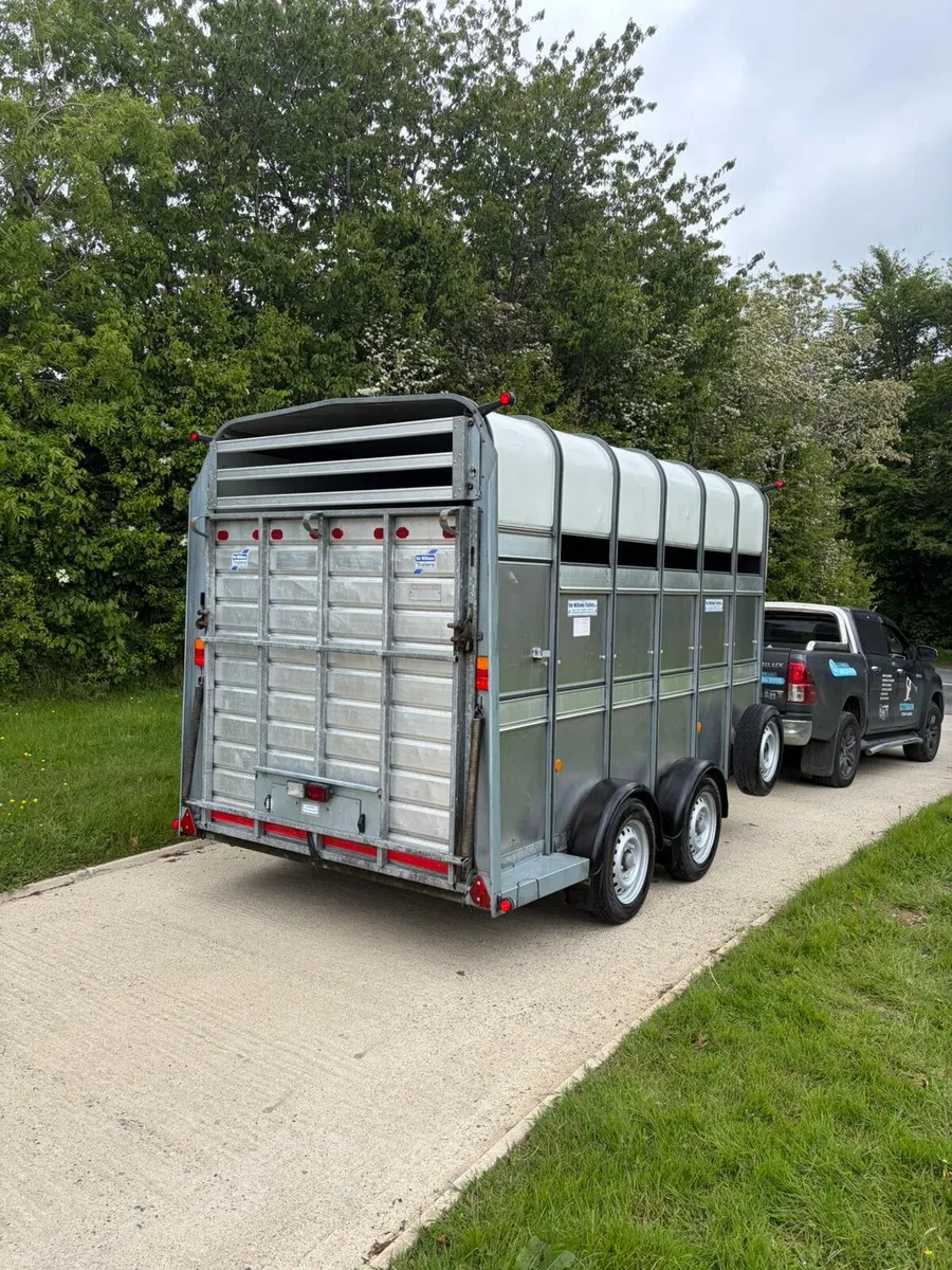 12ft highroof horse/cattle trailer - Image 2
