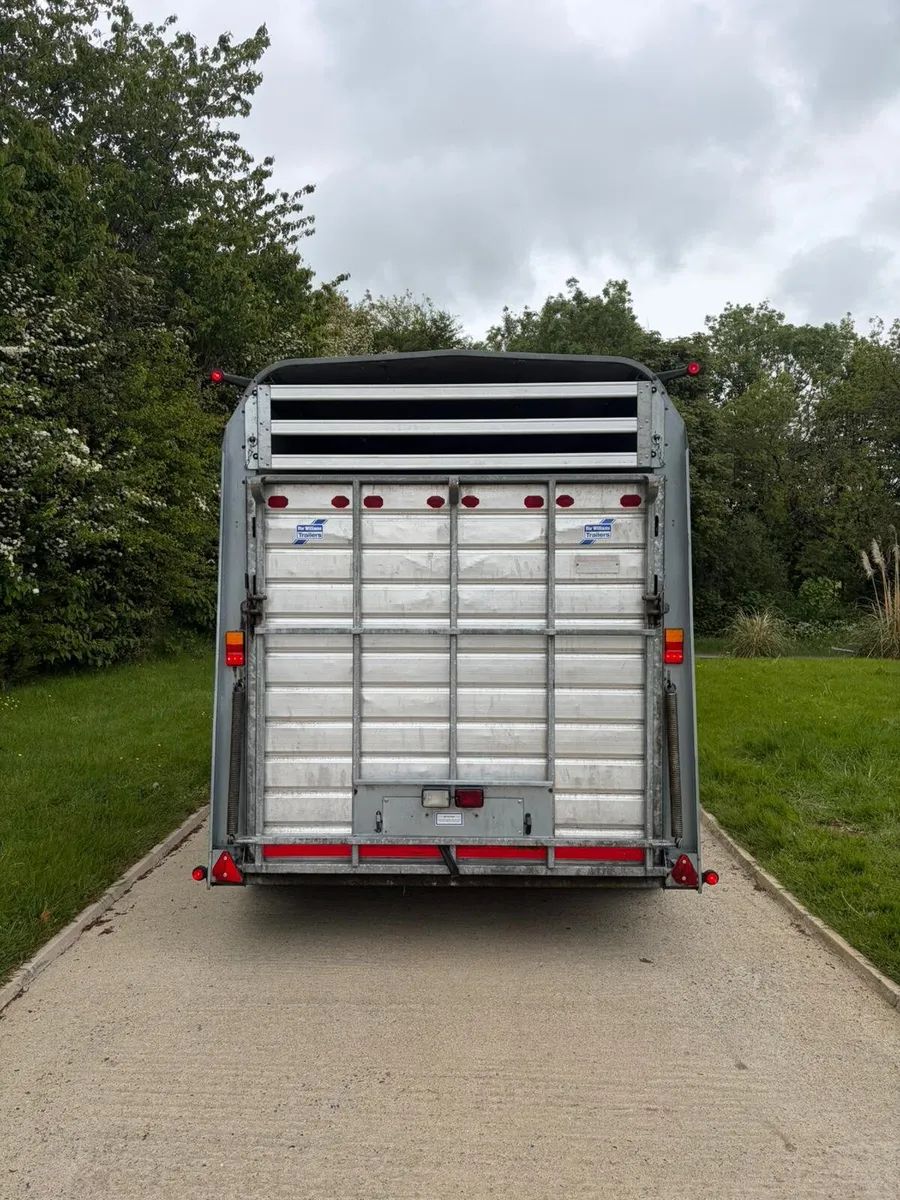 12ft highroof horse/cattle trailer - Image 3