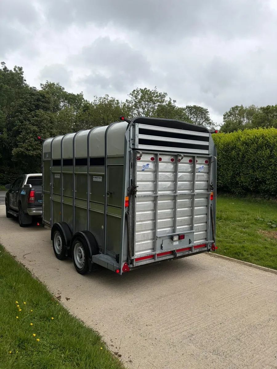 12ft highroof horse/cattle trailer - Image 4