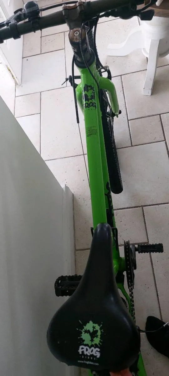Kids Frog bike 26inch - Image 4