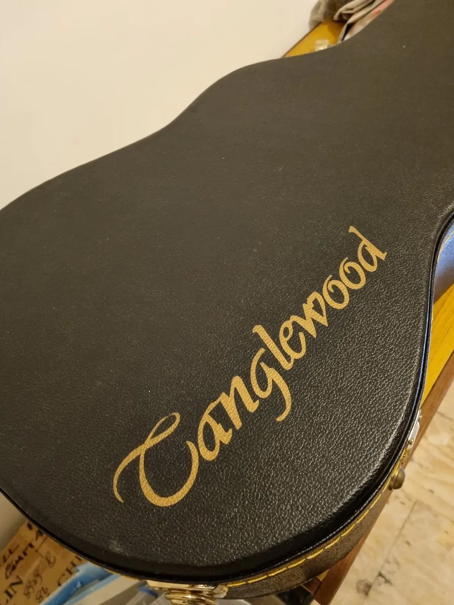 Tanglewood Guitar Hard Case - Image 1
