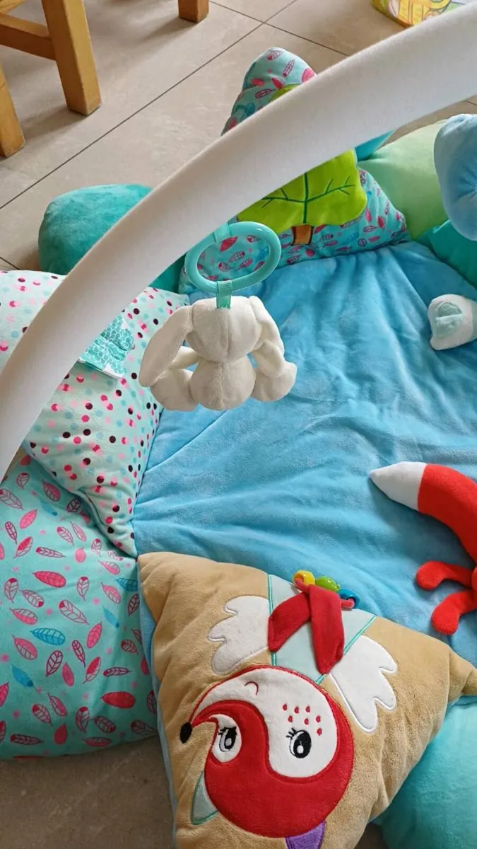 Baby Play Mat - Image 4