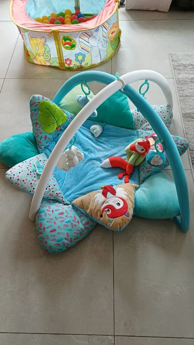 Baby Play Mat - Image 1