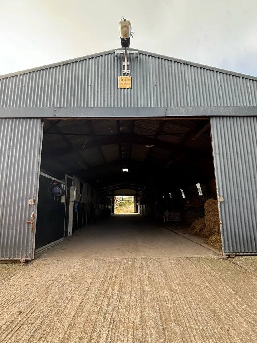 ⭐️DIY Livery/ Sales Production and Schooling⭐️ - Image 2