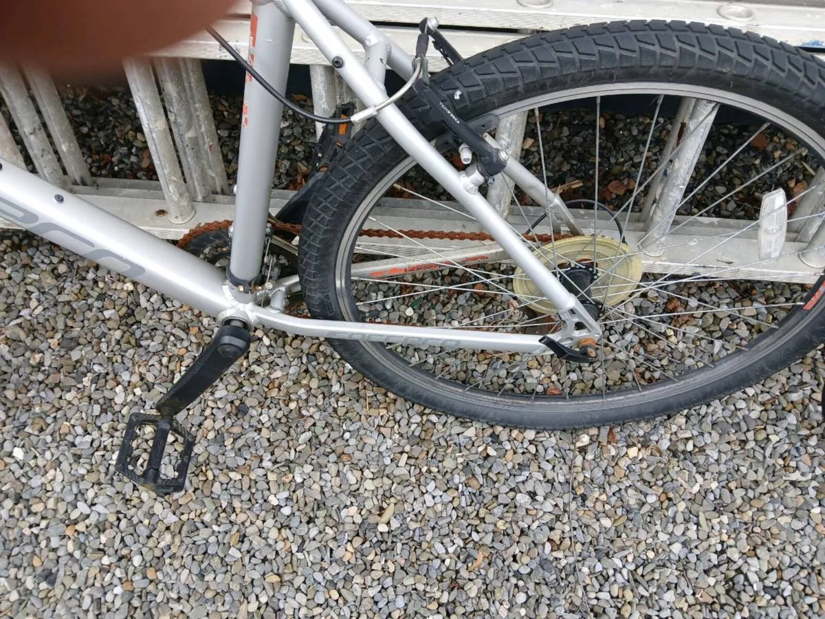 Bikes - Image 2