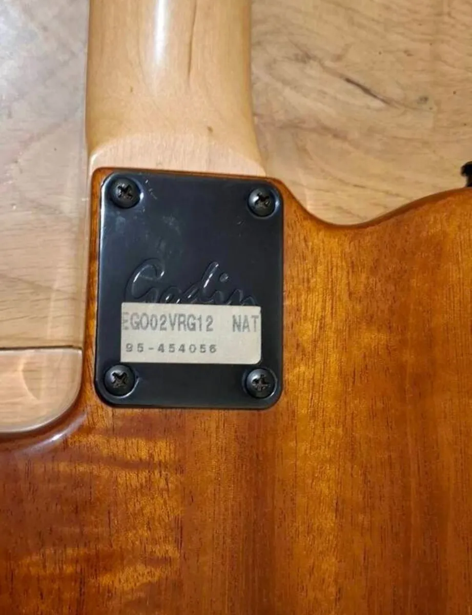 Godin Acousticaster - Image 2