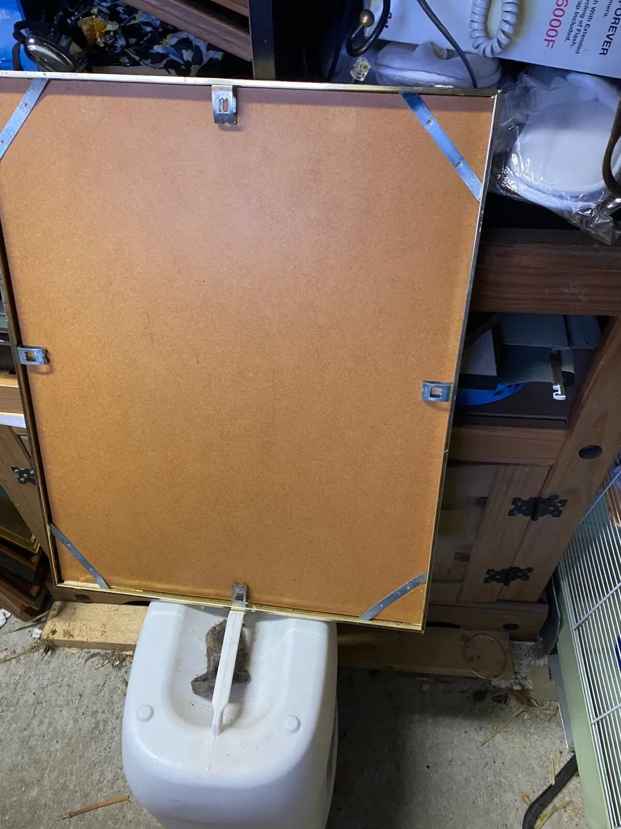 Picture - Image 3