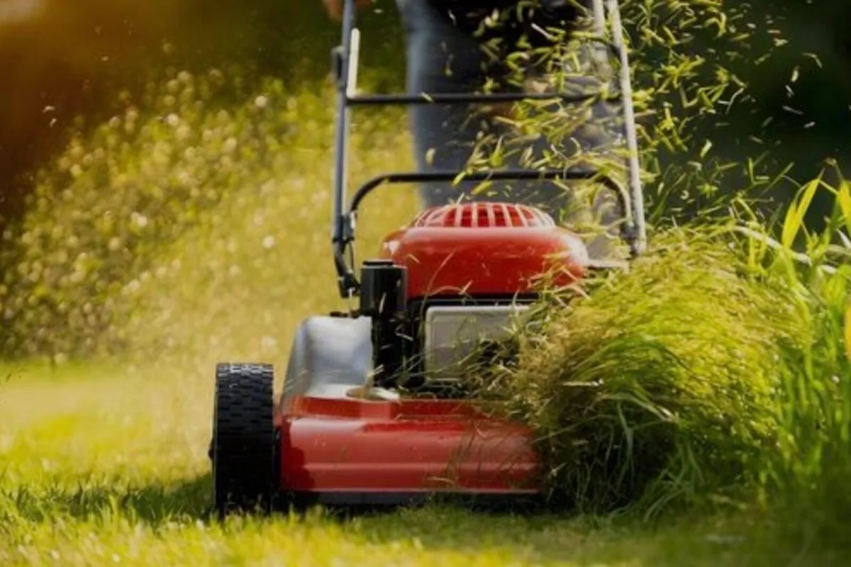 Gardening services