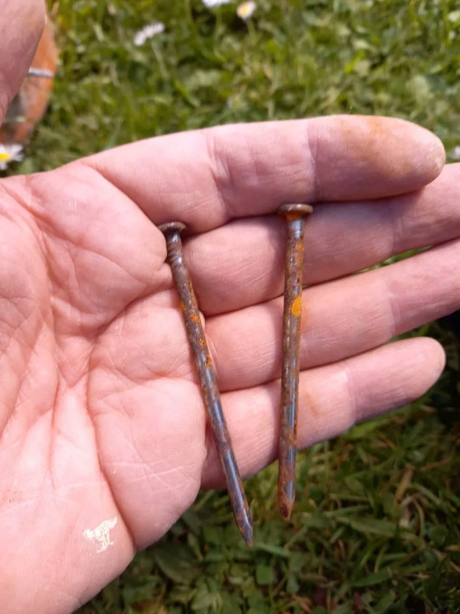 Nails - Image 2