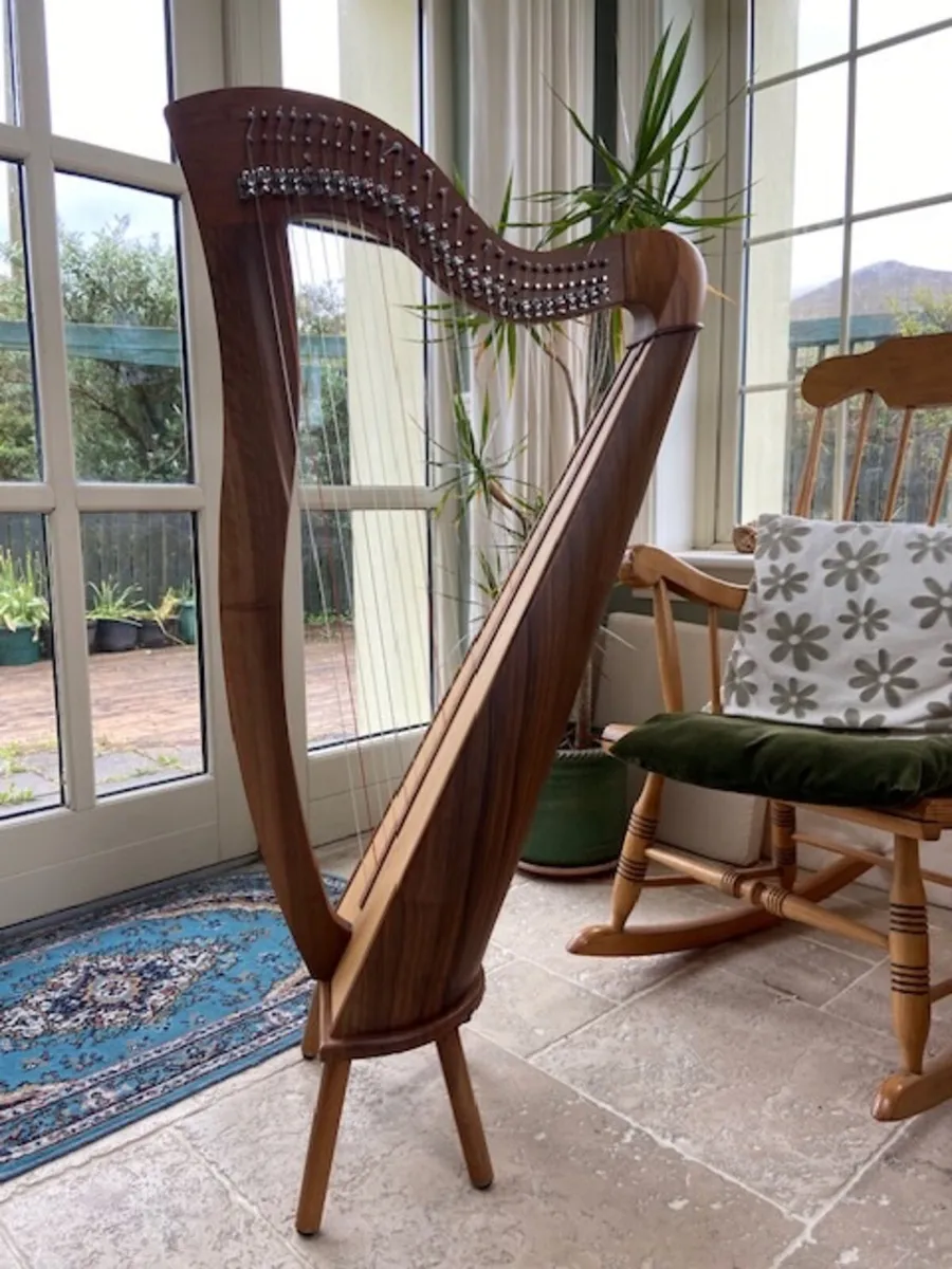 Stringed Instrument Harp 29 string McHugh Muzikkon - Image 2