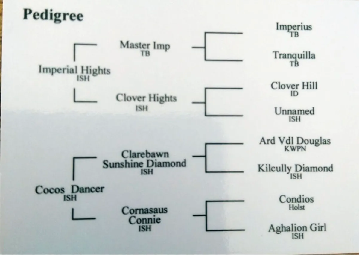 Golden Heights For Stud - Image 2