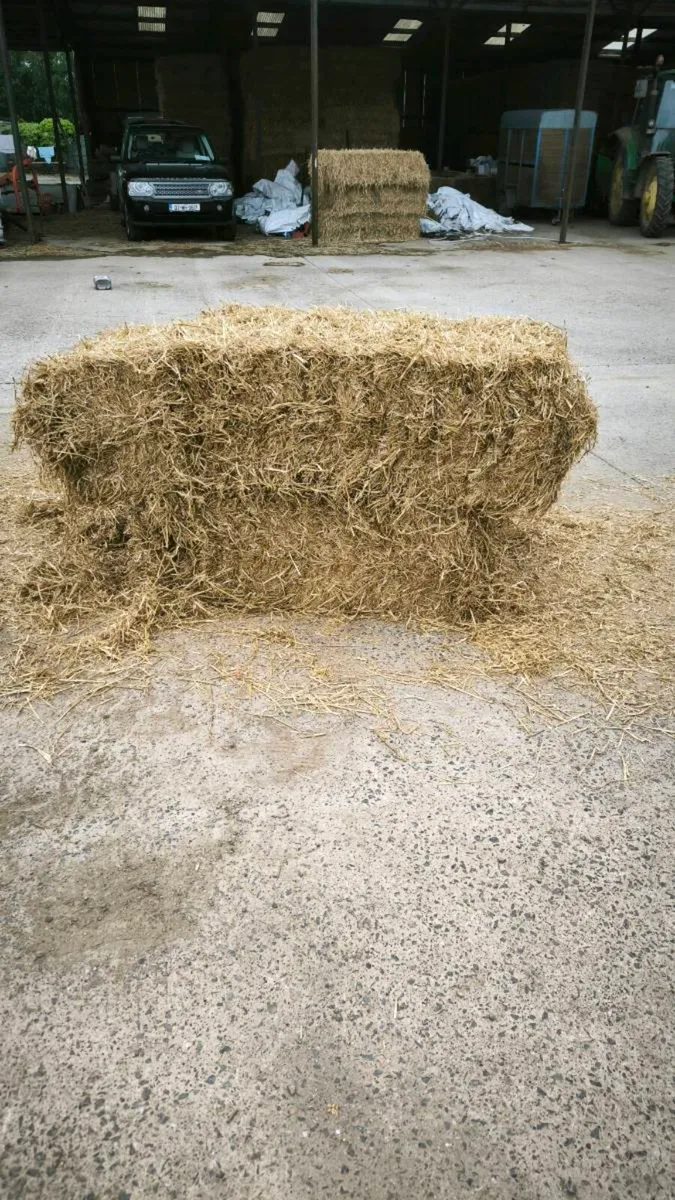Barley straw, floor and slightly damaged bales - Image 2