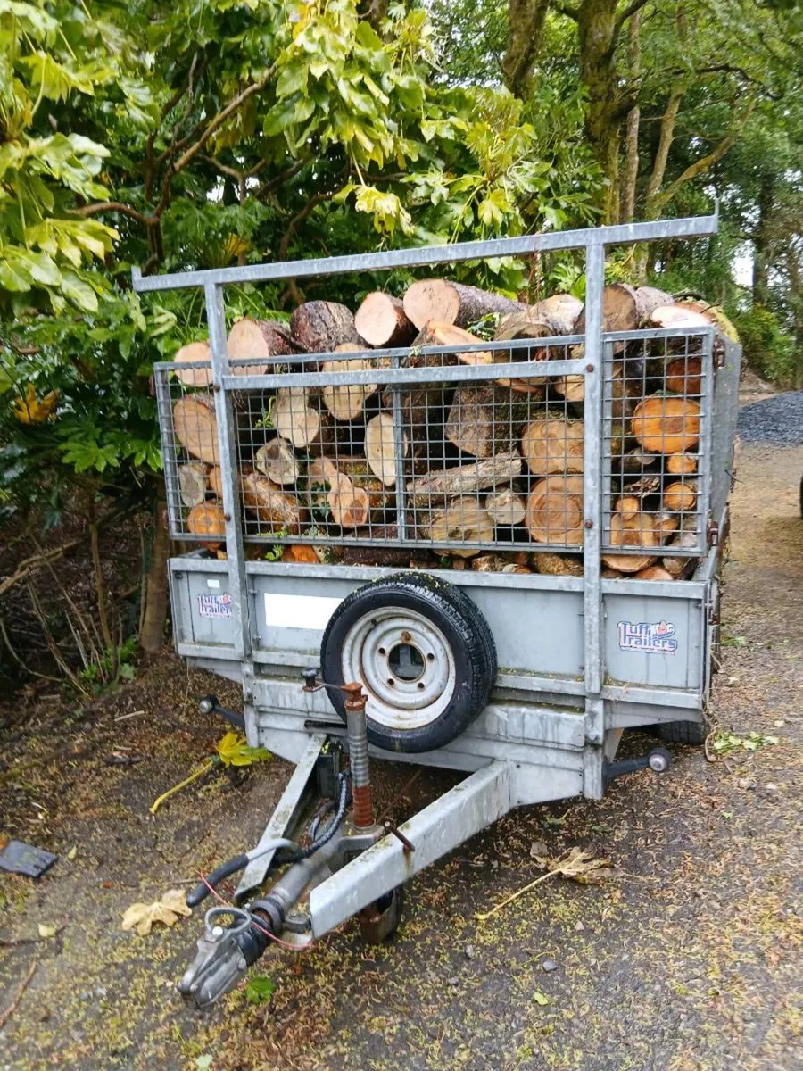 Firewood - Image 1