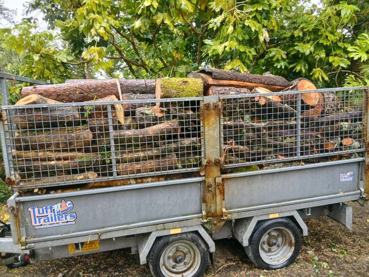 Firewood - Image 2