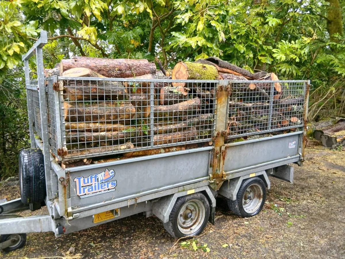 Firewood - Image 4