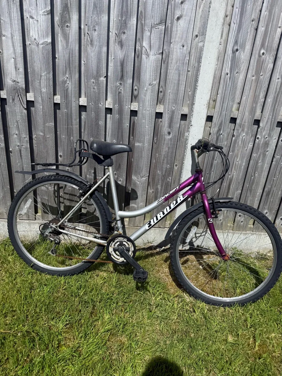 Concept Ladis Mountain Bicycle - Image 1