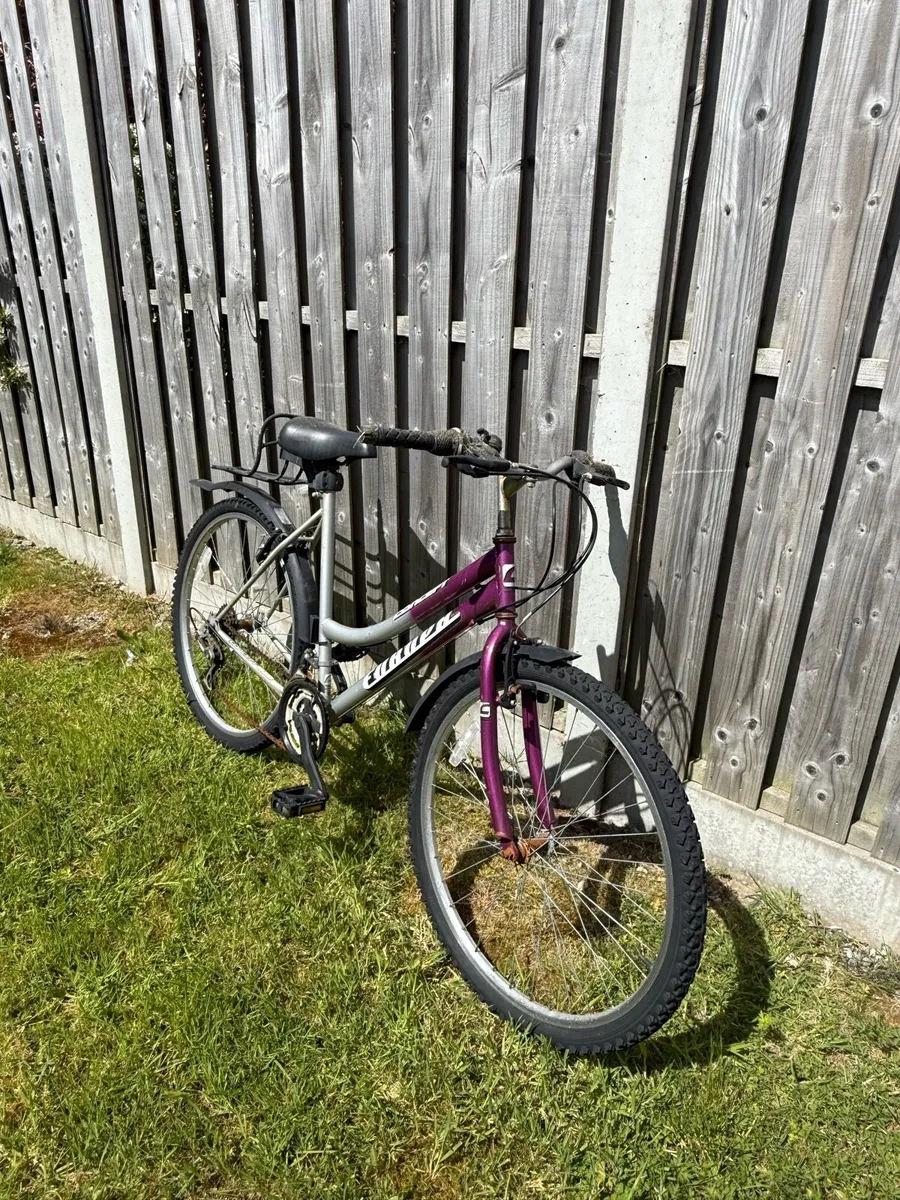 Concept Ladis Mountain Bicycle - Image 3