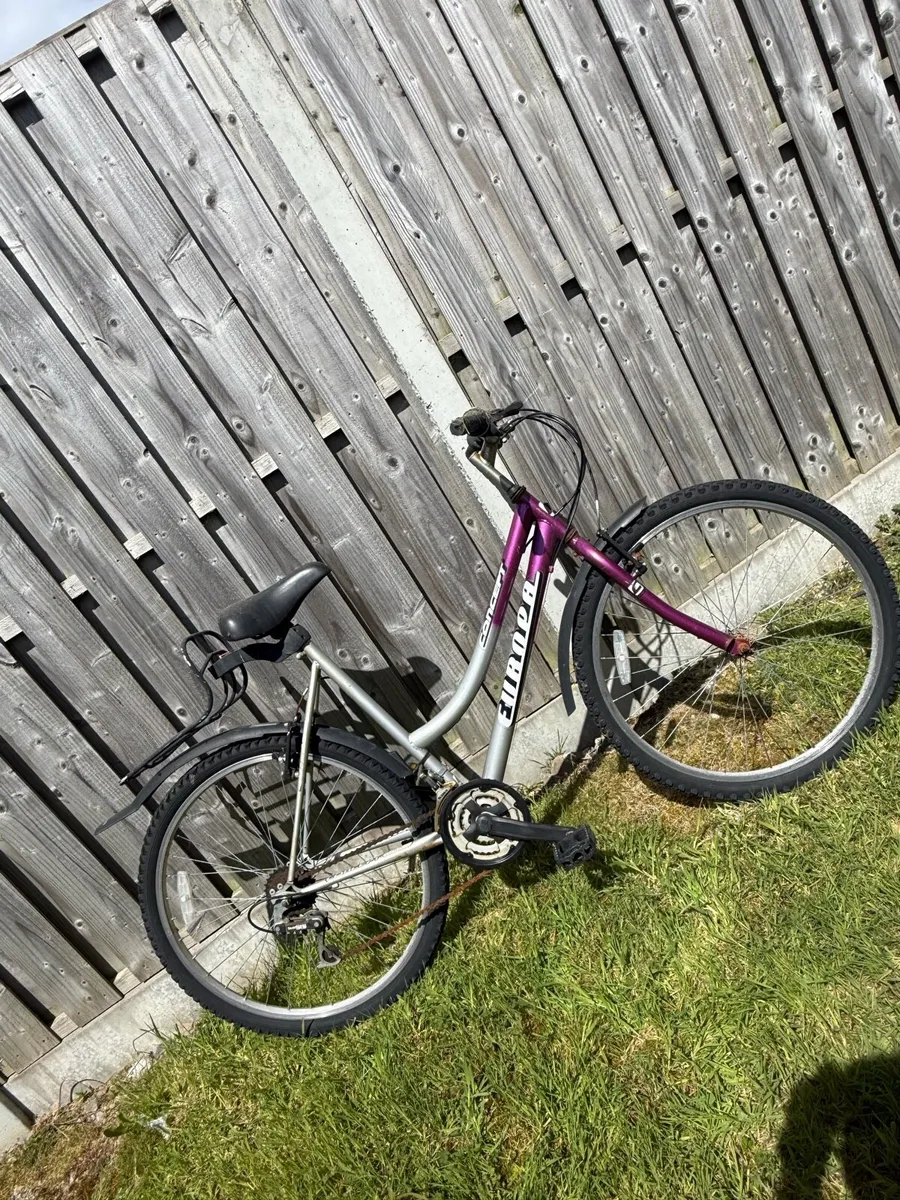 Concept Ladis Mountain Bicycle - Image 4