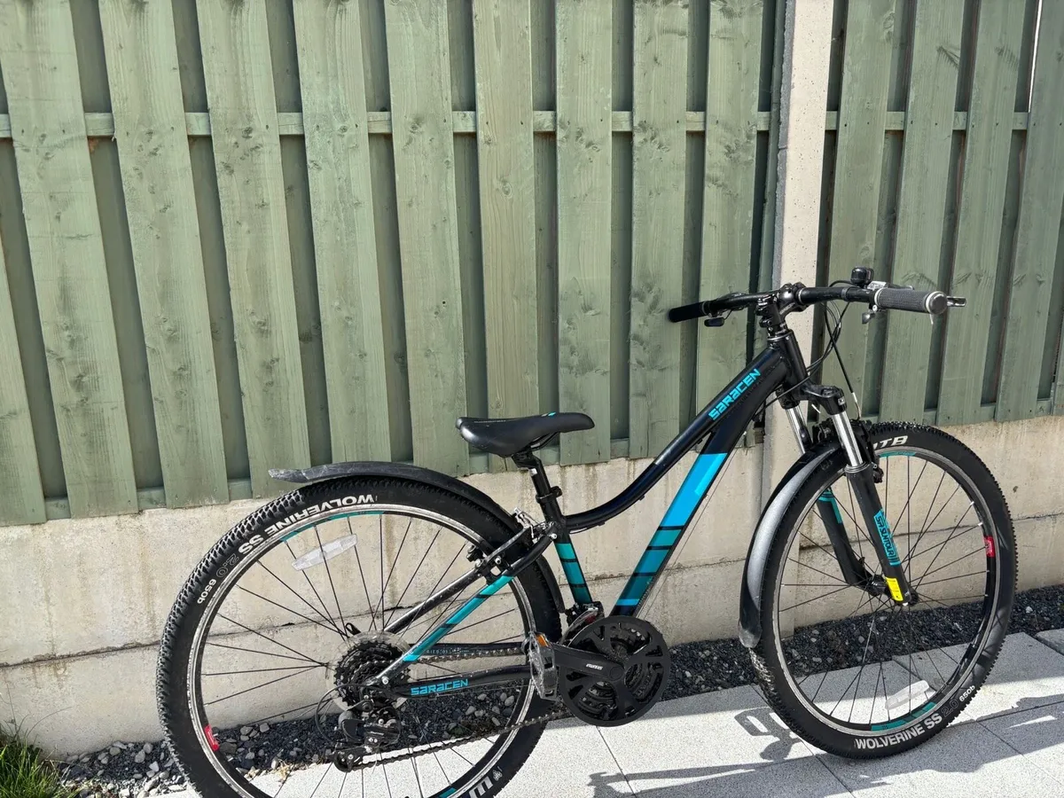 Bike - Image 2