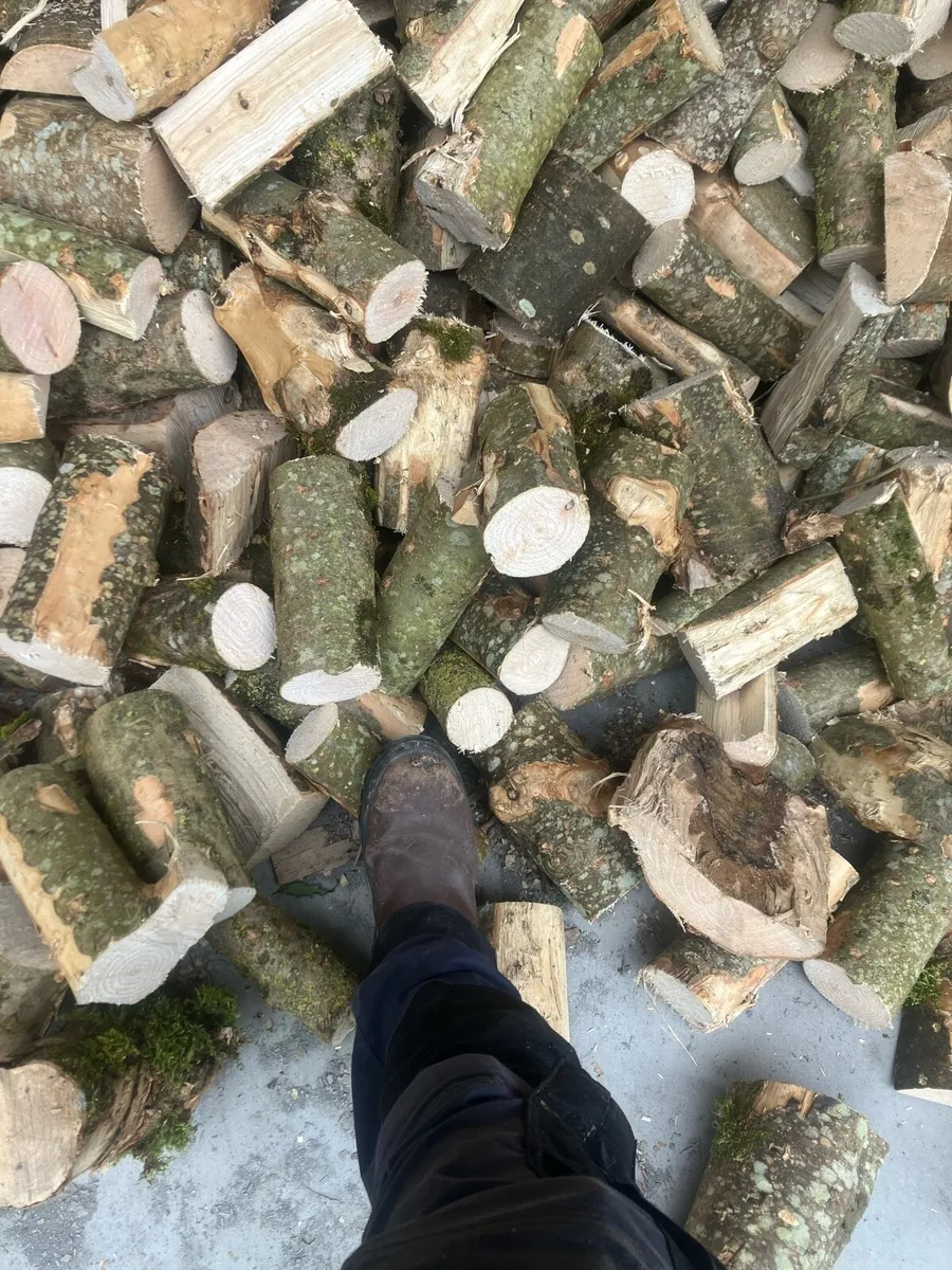 Firewood - Image 1