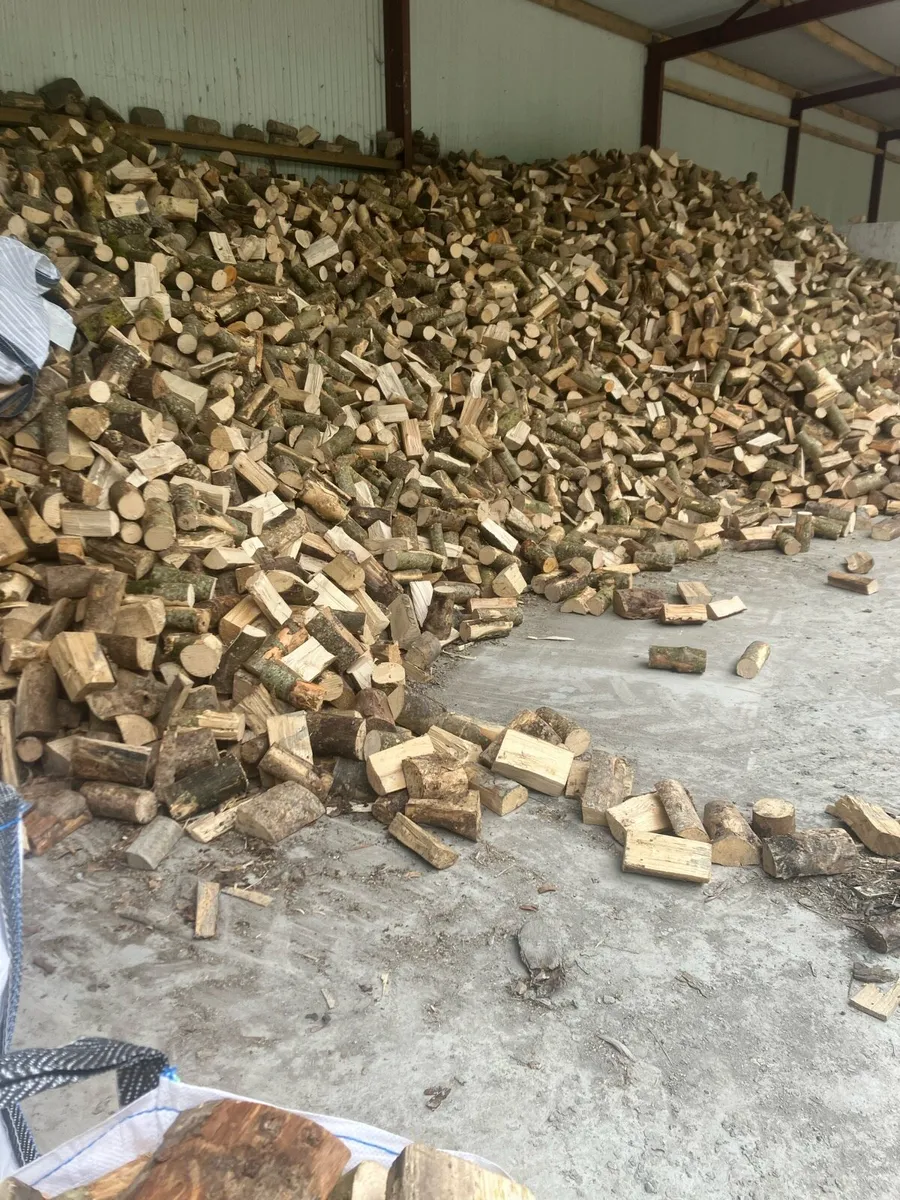 Firewood - Image 4