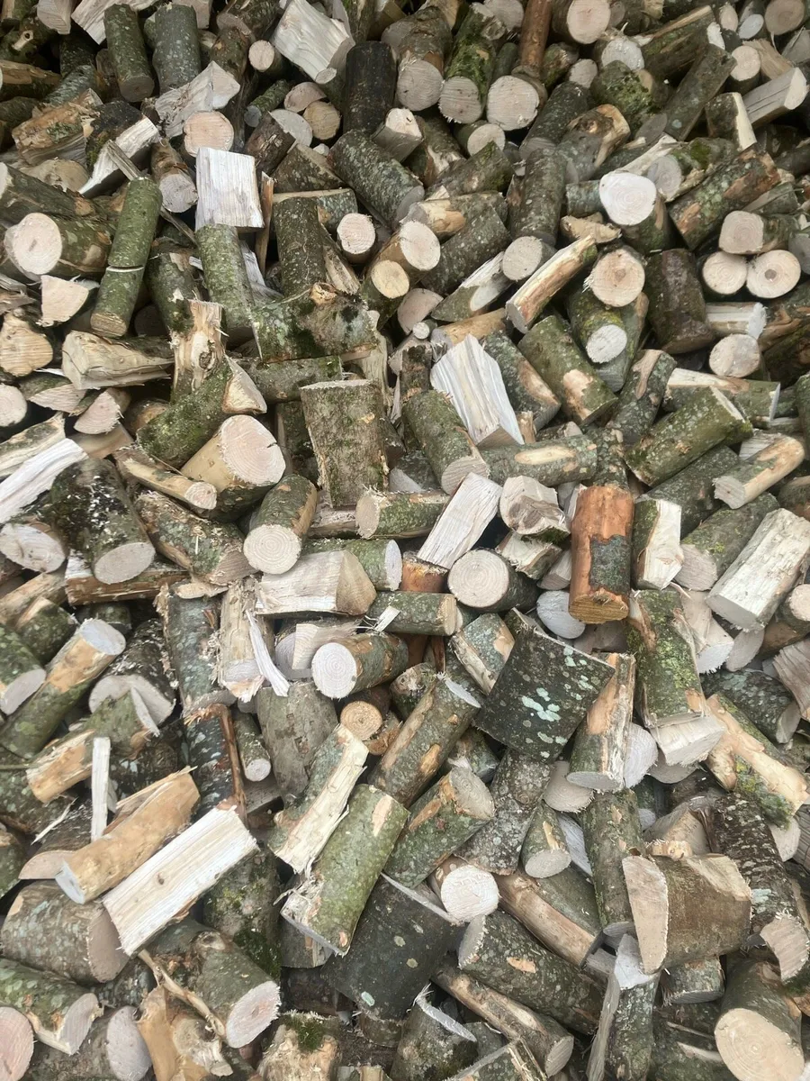 Firewood - Image 2