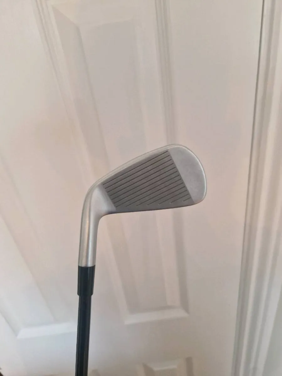 P790 2 Iron - Image 2