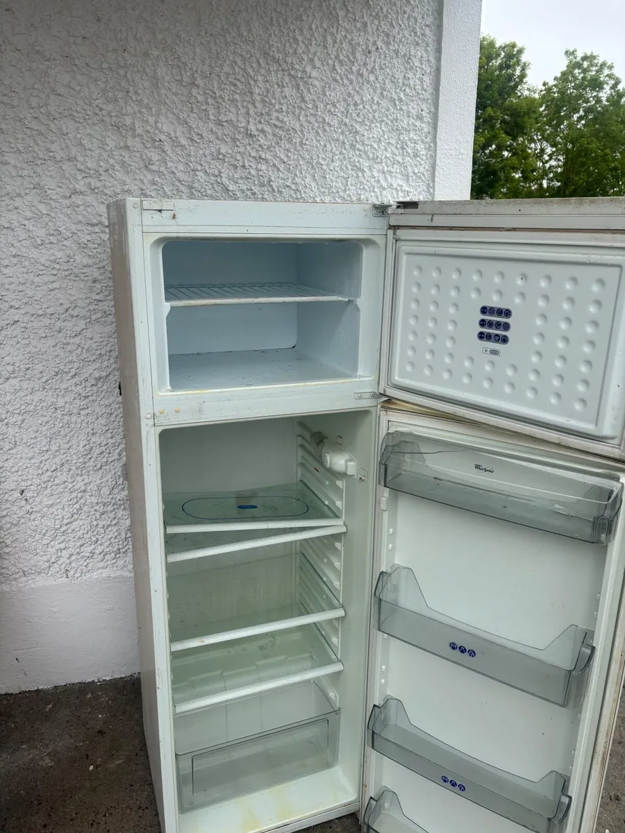 Fridge freezer - Image 1