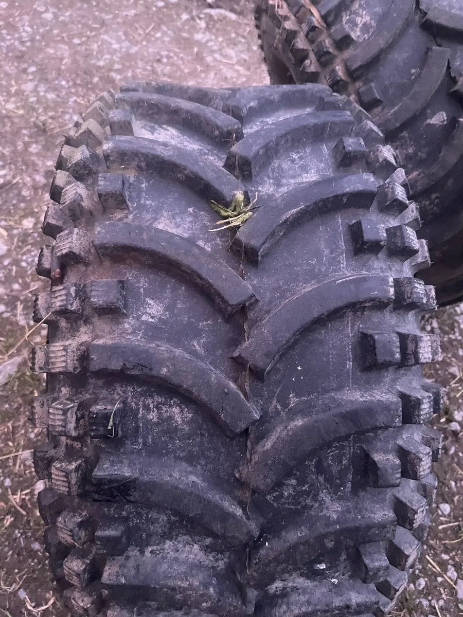 Buggy wheels - Image 2