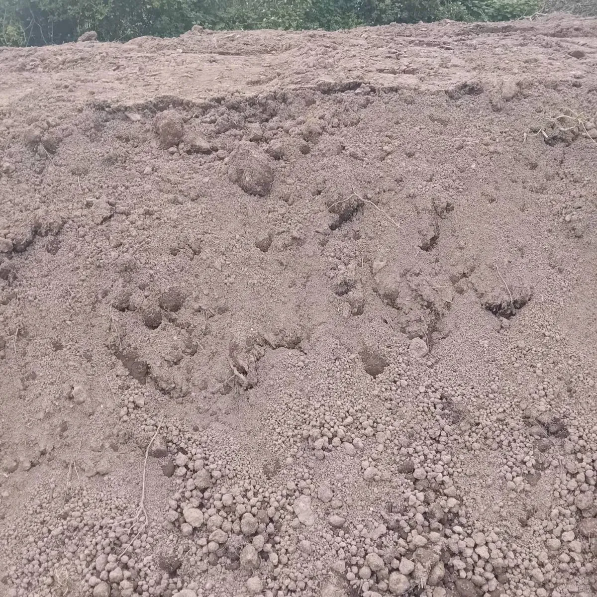 Top soil for sale - Image 1