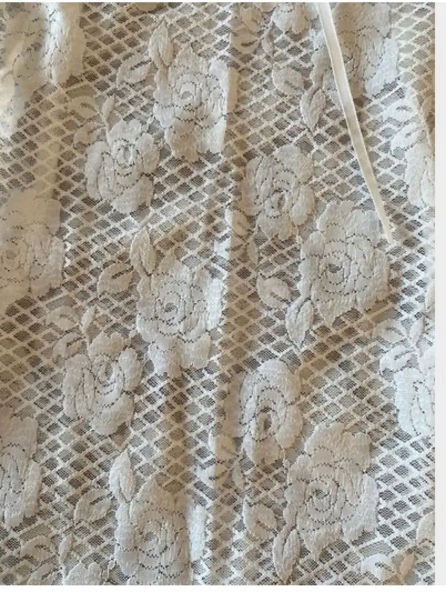 BNWT Edikted Ayala Lace Sheer Minidress - Image 3