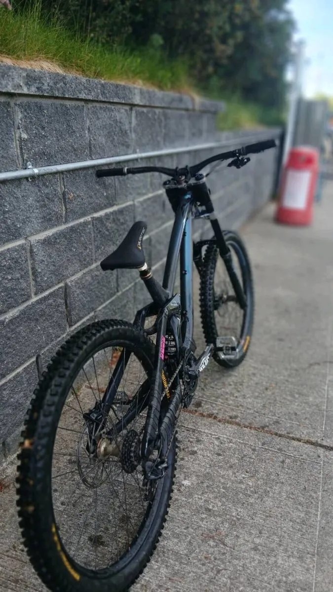Ns Fuzz Dh Frameset - Image 2