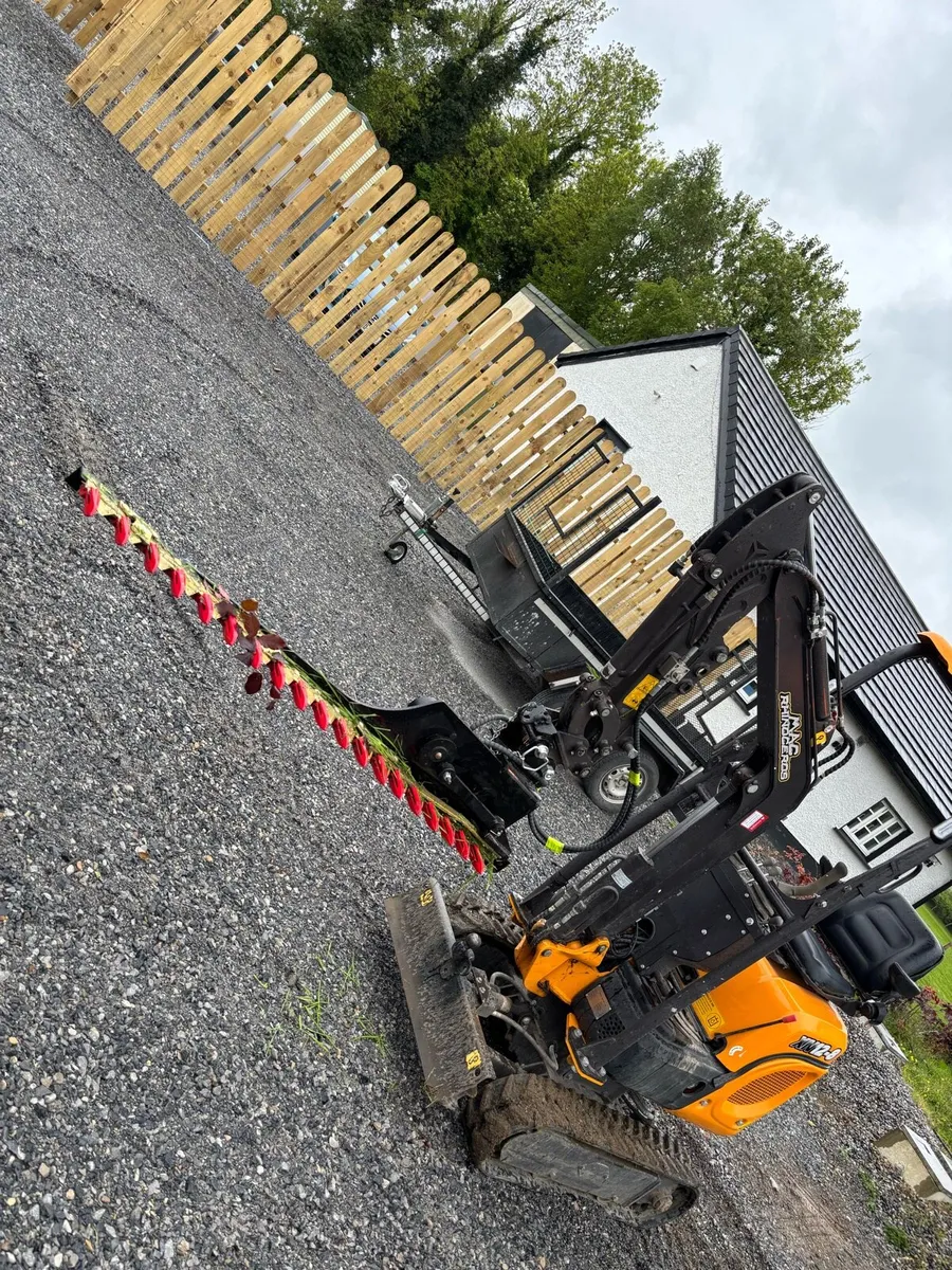 1 ton Digger and driver for hire - Image 2