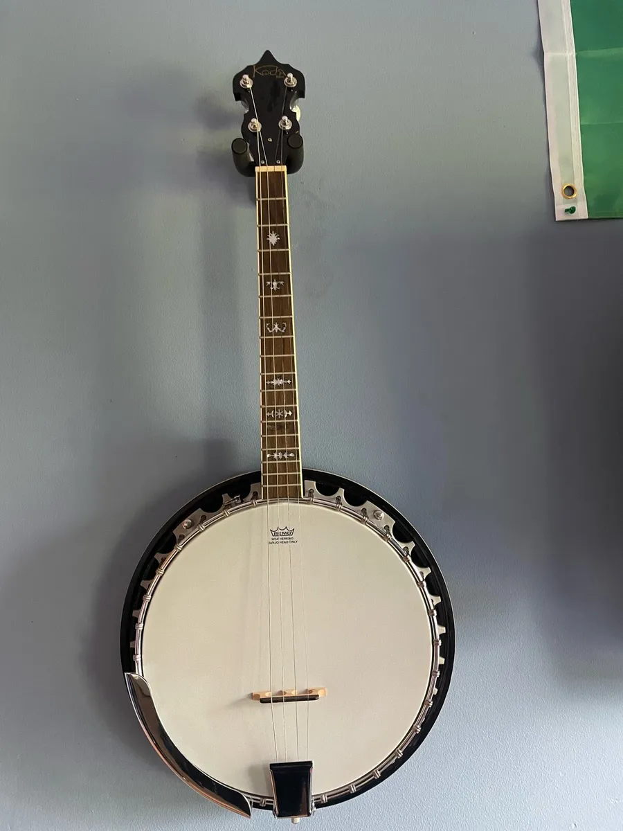 Irish tenor banjo - Image 1