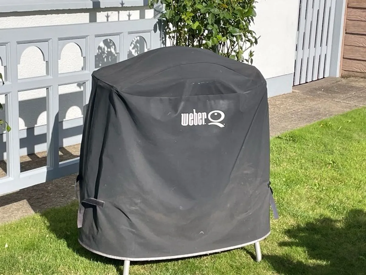 Weber Gas Barbecue Q200 - Image 2