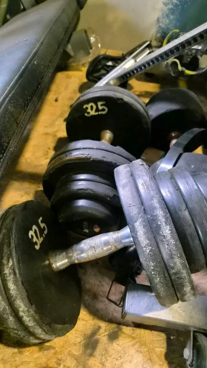 FULLY COMMERCIAL JORDAN DUMBBELLS - Image 4