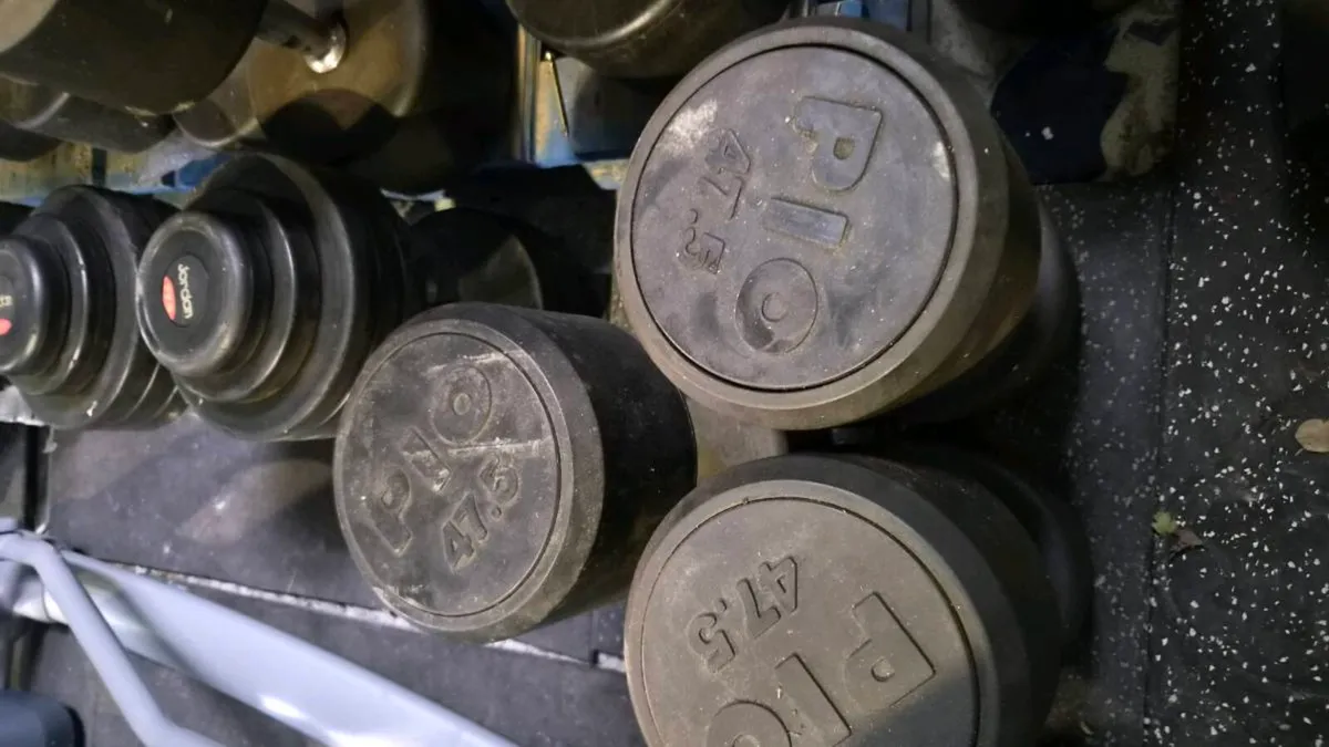 NEW PIO DUMBBELLS 42.5KG TO 50KG - Image 1