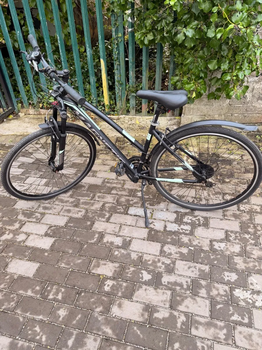 Bike - Image 4