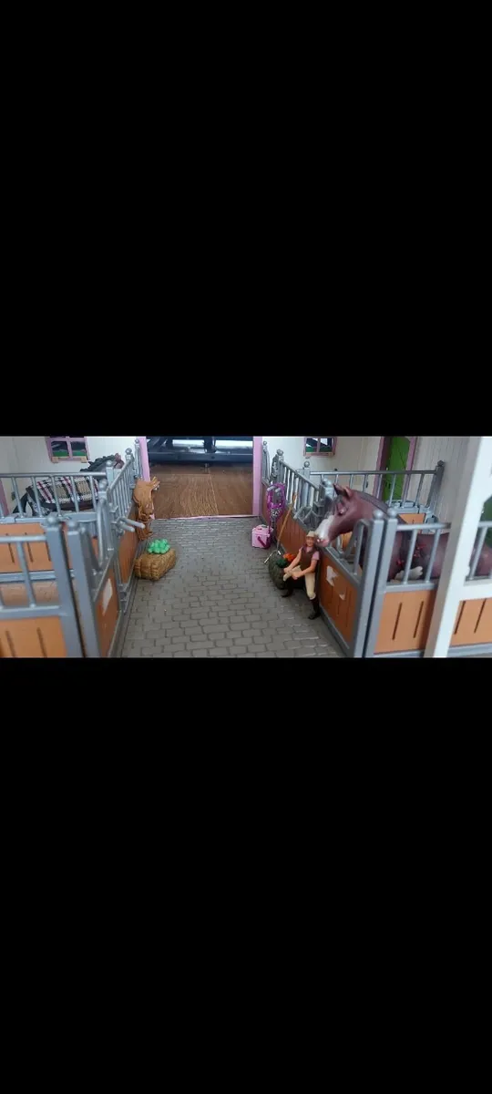 Toy - Image 3